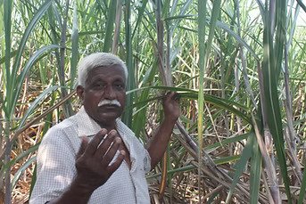 Case Study of Suresh Desaiji